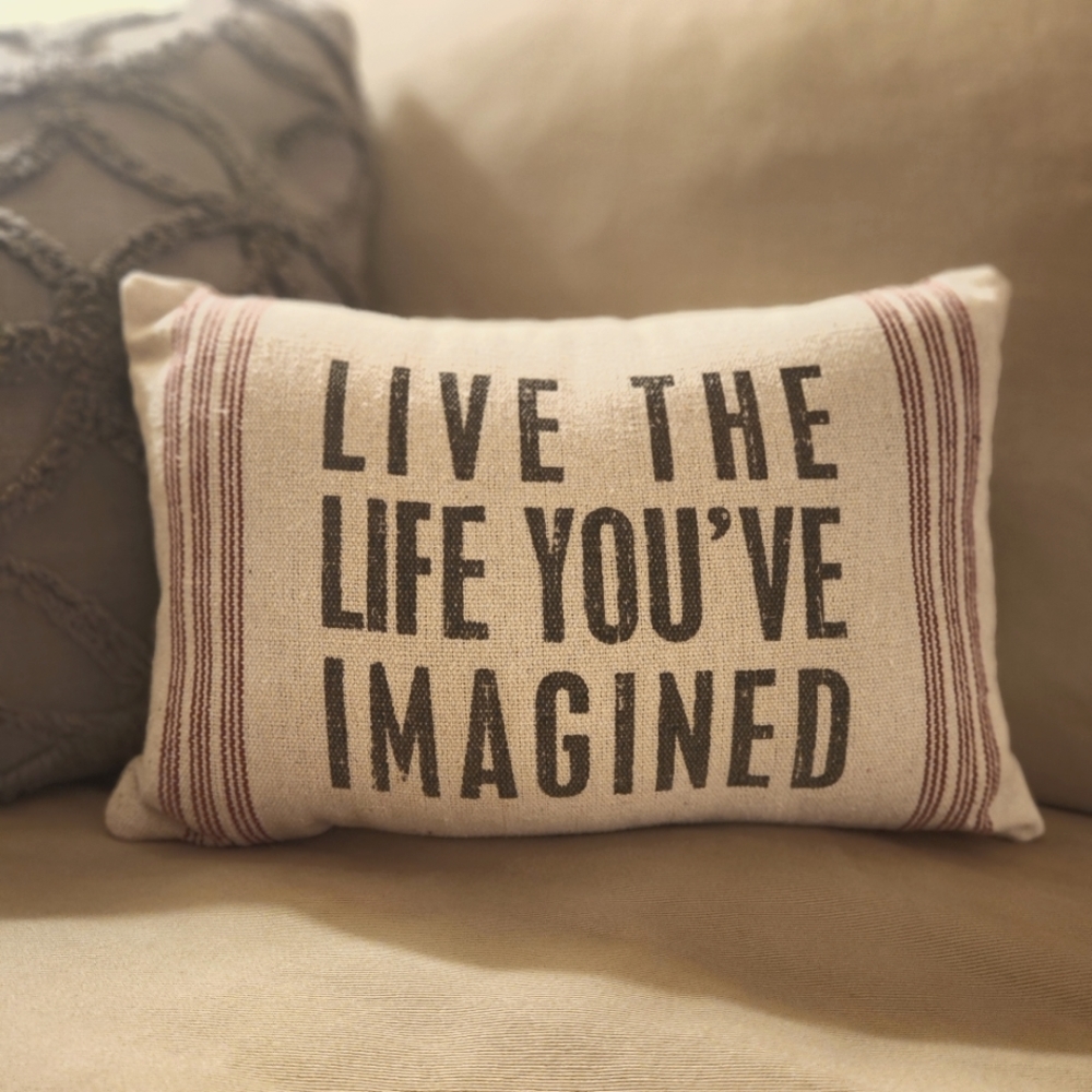 9x12 Life the Life You've Imagined decorative pillow